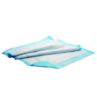 Underpads Economy 150/cs 24 x 36  Disposable
