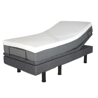Golden Passport Hi-Low Adjustable Bed